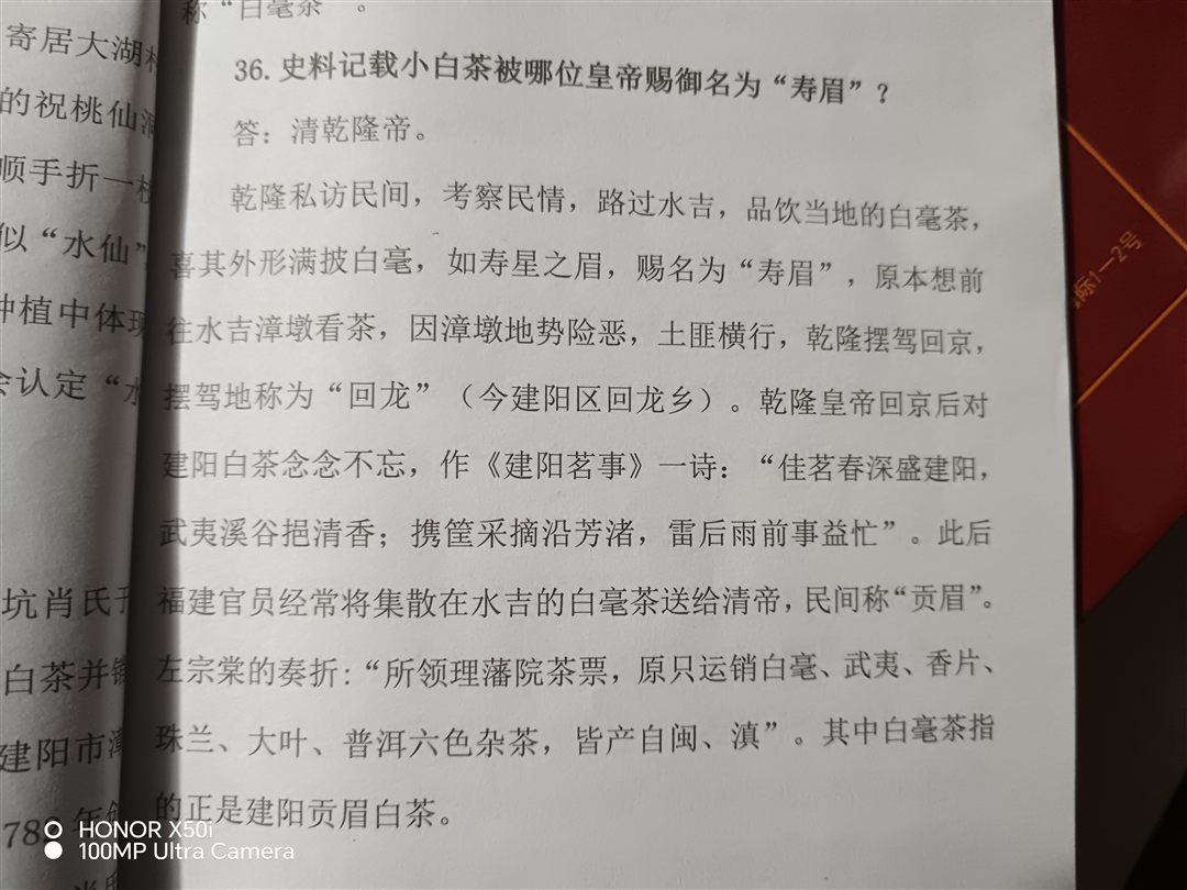 建阳白茶与茶席